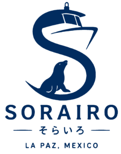 Sorairo Tours